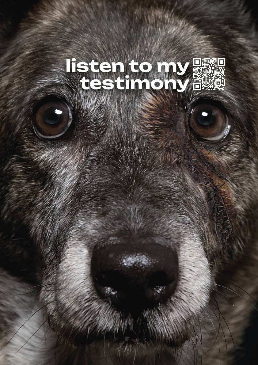 #IF MURDERED DOGS COULD TALK