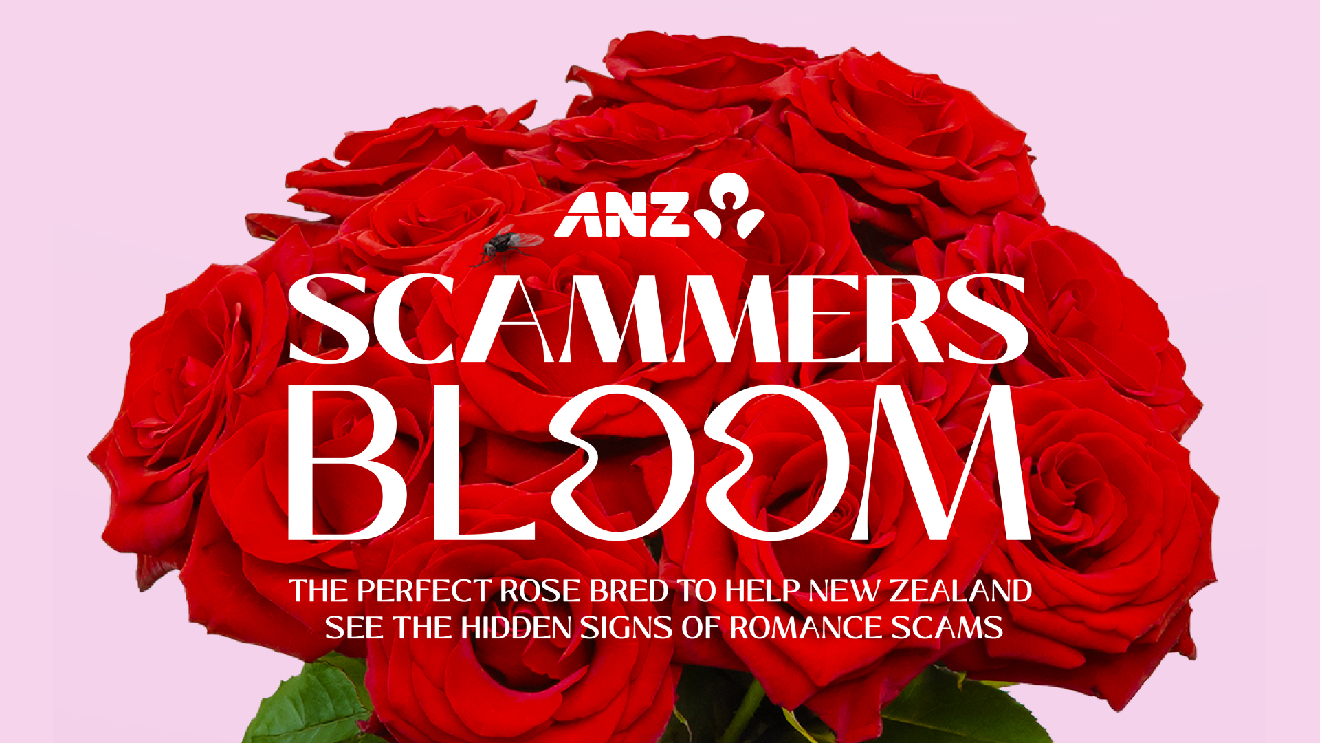 Scammers Bloom