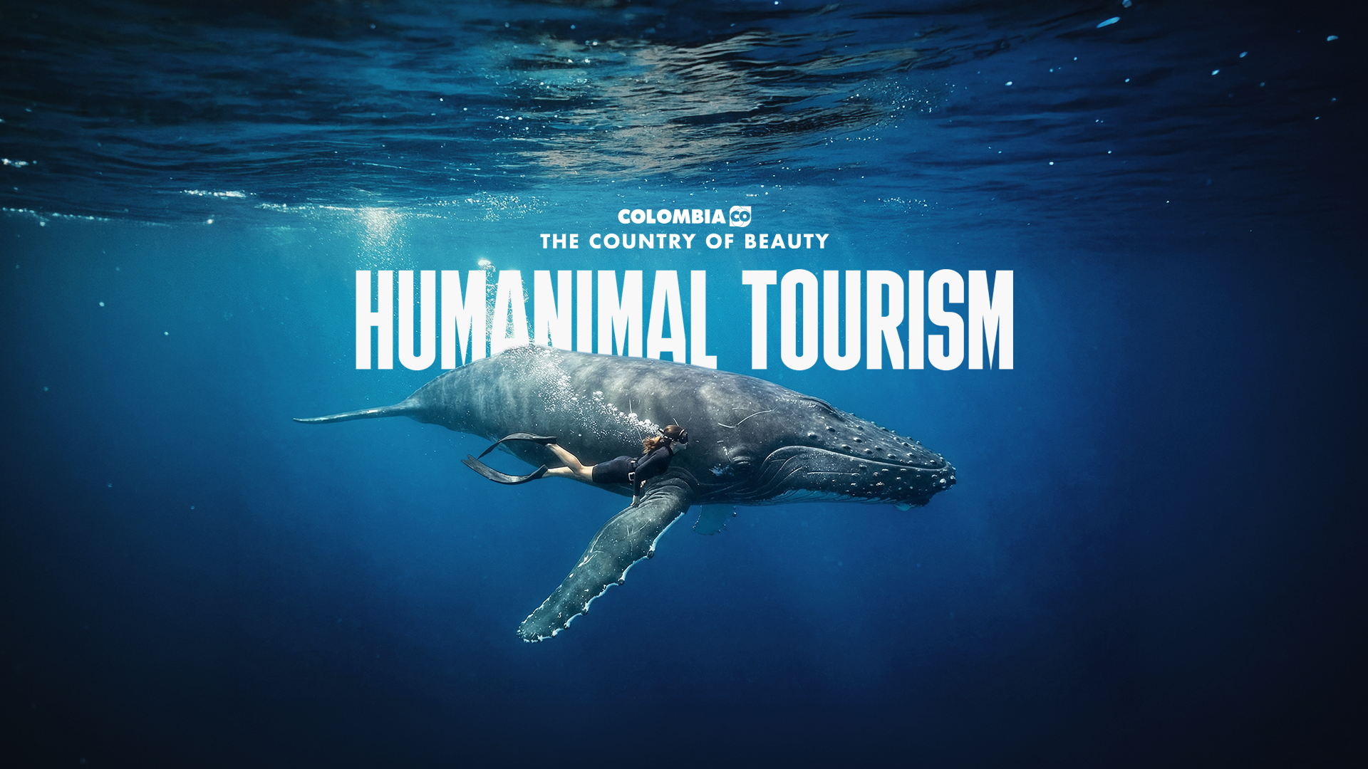 Humanimal Tourism